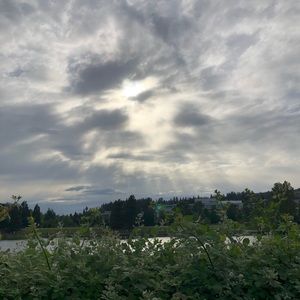 Meet your Posher, Jen